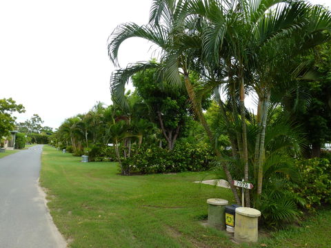 Queens Beach Tourist Village - Accommodation Gold Coast 6