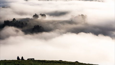 Balingup Heights Hilltop Forest Cottages - Accommodation Gold Coast 9