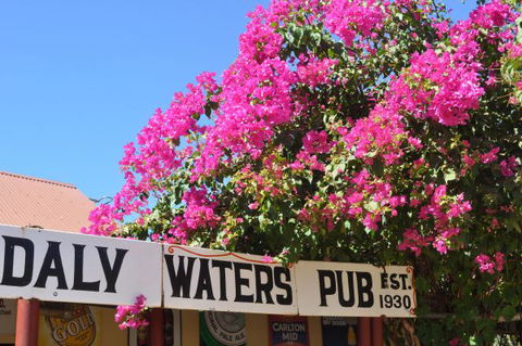 Daly Waters Historic Pub - Accommodation Gold Coast 7