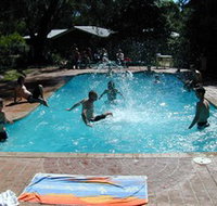 Koala Park - Accommodation Gold Coast