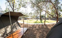 Billabong Camp, Taronga Western Plains Zoo, Dubbo - Accommodation Gold Coast 1