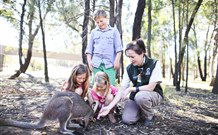 Billabong Camp, Taronga Western Plains Zoo, Dubbo - Accommodation Gold Coast 5