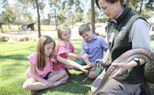 Billabong Camp, Taronga Western Plains Zoo, Dubbo - Accommodation Gold Coast 4