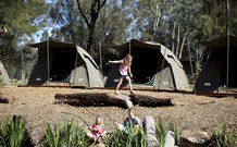 Billabong Camp, Taronga Western Plains Zoo, Dubbo - Accommodation Gold Coast 6