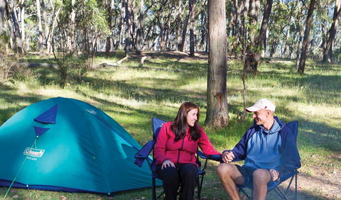 Apsley Falls Campground - Accommodation Gold Coast 0