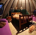 Aranyani Bison Adventure Tourist Park - Accommodation Gold Coast