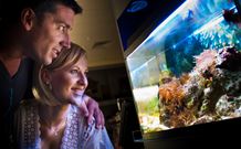 BIG4 Northstar Holiday Resort And Caravan Park - Accommodation Gold Coast 4