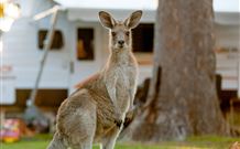 BIG4 Sunshine South West Rocks Holiday Park - South - Accommodation Gold Coast 3