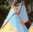 Central Coast Eco Tours - Accommodation Gold Coast