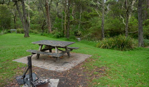 Chaelundi Campground - Accommodation Gold Coast 0