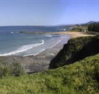 Coledale Beach Camping Reserve - Accommodation Gold Coast