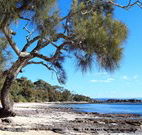 Currarong Beachside Holiday Park - Accommodation Gold Coast