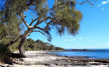Currarong Beachside Holiday Park - Accommodation Gold Coast 0