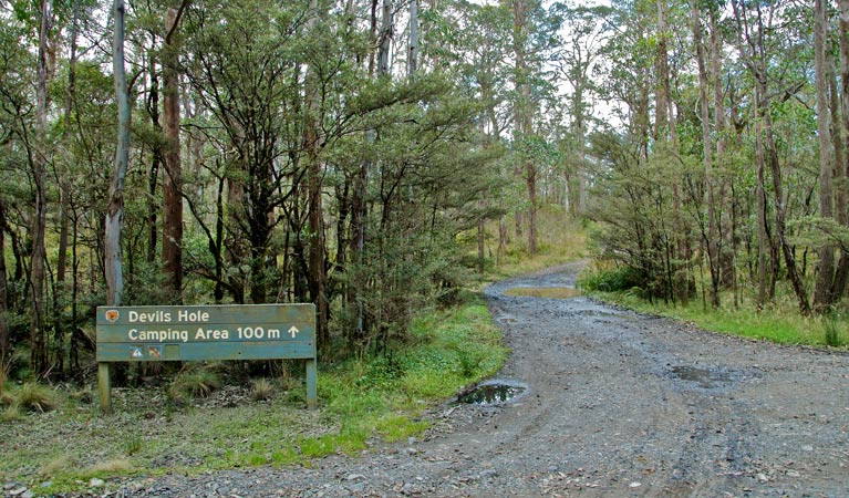 Barrington Tops NSW Accommodation Gold Coast