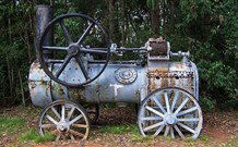 Dingo Tops Campground - Accommodation Gold Coast 0