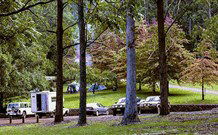 Dingo Tops Campground - Accommodation Gold Coast 1
