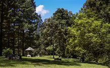 Dingo Tops Campground - Accommodation Gold Coast 2