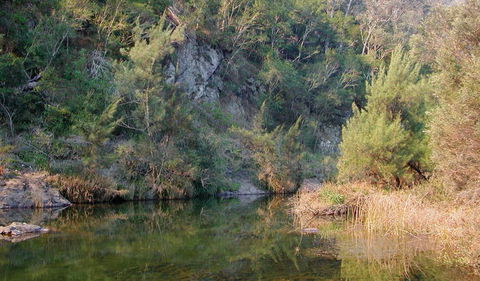 Doon Goonge Campground - Accommodation Gold Coast 1