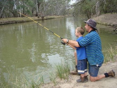 Riverview Caravan Park - Accommodation Gold Coast 4