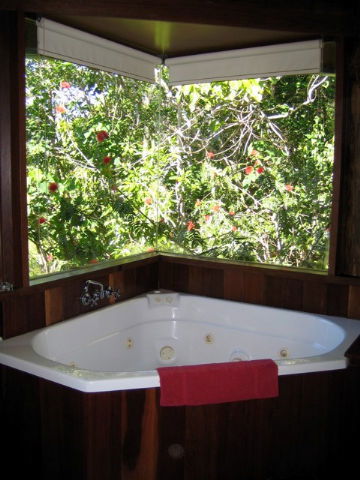 Rose Gums Wilderness Retreat - Accommodation Gold Coast 3