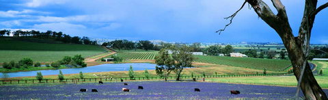 The Falls Retreat - Accommodation Gold Coast 8