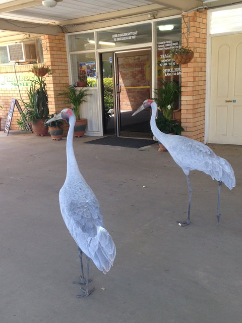 Jumbuck Motel Longreach - Accommodation Gold Coast 4