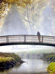 The Tumbarumba Motel - Accommodation Gold Coast 3