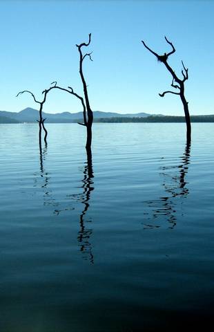 Tinaroo Lake Resort - Holiday Apartments - Accommodation Gold Coast 11