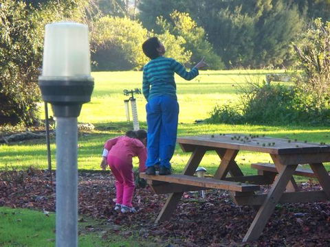 Toora Lodge Motel - Accommodation Gold Coast 2