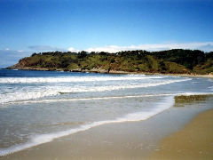 Walkabout Holiday House - Accommodation Gold Coast 4