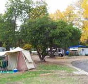 Wedderburn Pioneer Caravan Park - Accommodation Gold Coast