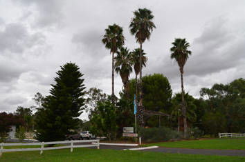 Westview Tourist Caravan Park - Accommodation Gold Coast 8