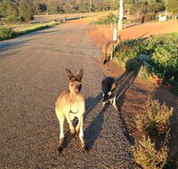 Bindoons Windmill Farm - Accommodation Gold Coast