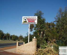 Pinjarra Cabins And Caravan Park - Accommodation Gold Coast 2