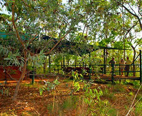 Arnhemland Barramundi Nature Lodge - 1 Gold Coast 0