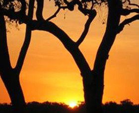 Coodardie Station Stay - Accommodation Gold Coast 2