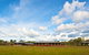 Wildman Wilderness Lodge - thumb 1