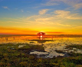 Wildman Wilderness Lodge - Accommodation Gold Coast 2