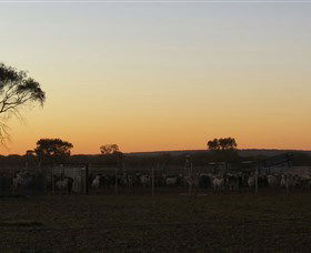 Goodwood Stationstay - Gold Coast 4U 1