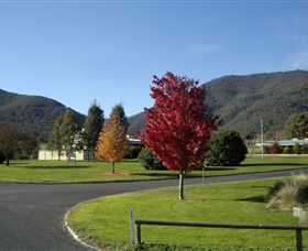 Talbingo Country Club - Accommodation Gold Coast 0