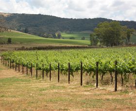 Acacia Park Farm House - Accommodation Gold Coast 7