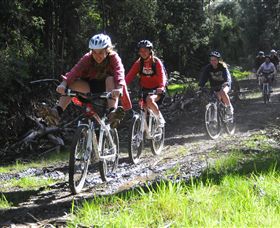 Lima East VIC Accommodation Gold Coast