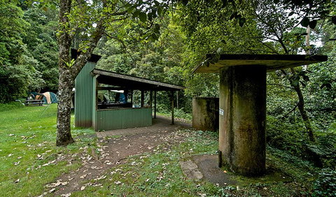 Forest Tops Campground - Accommodation Gold Coast 1