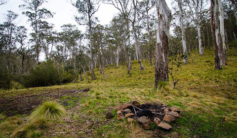 Gummi Falls Campground - Accommodation Gold Coast 0