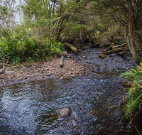 Horse Swamp campground - Accommodation Gold Coast