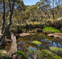 Junction Pools campground - Accommodation Gold Coast