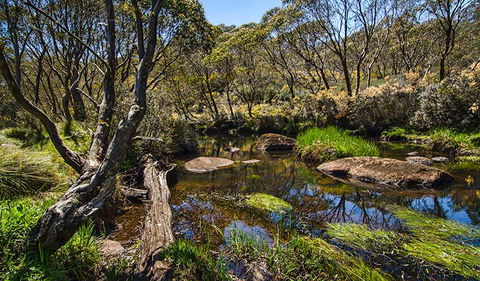Junction Pools Campground - Accommodation Gold Coast 0
