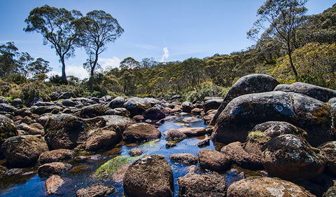 Junction Pools Campground - Accommodation Gold Coast 2