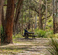 Koreelah Creek campground - Accommodation Gold Coast