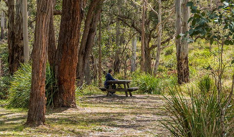 Koreelah Creek Campground - Accommodation Gold Coast 0